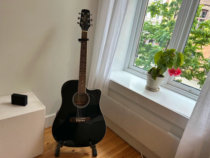 Gitar med stålstrenger