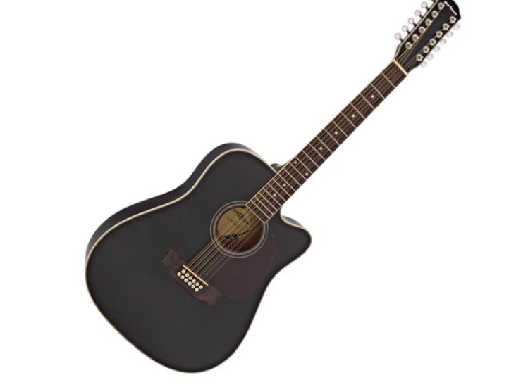 12 strängad gitarr