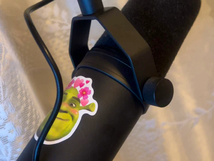 Shure sm7b cardioid dynamic studio vocal mic