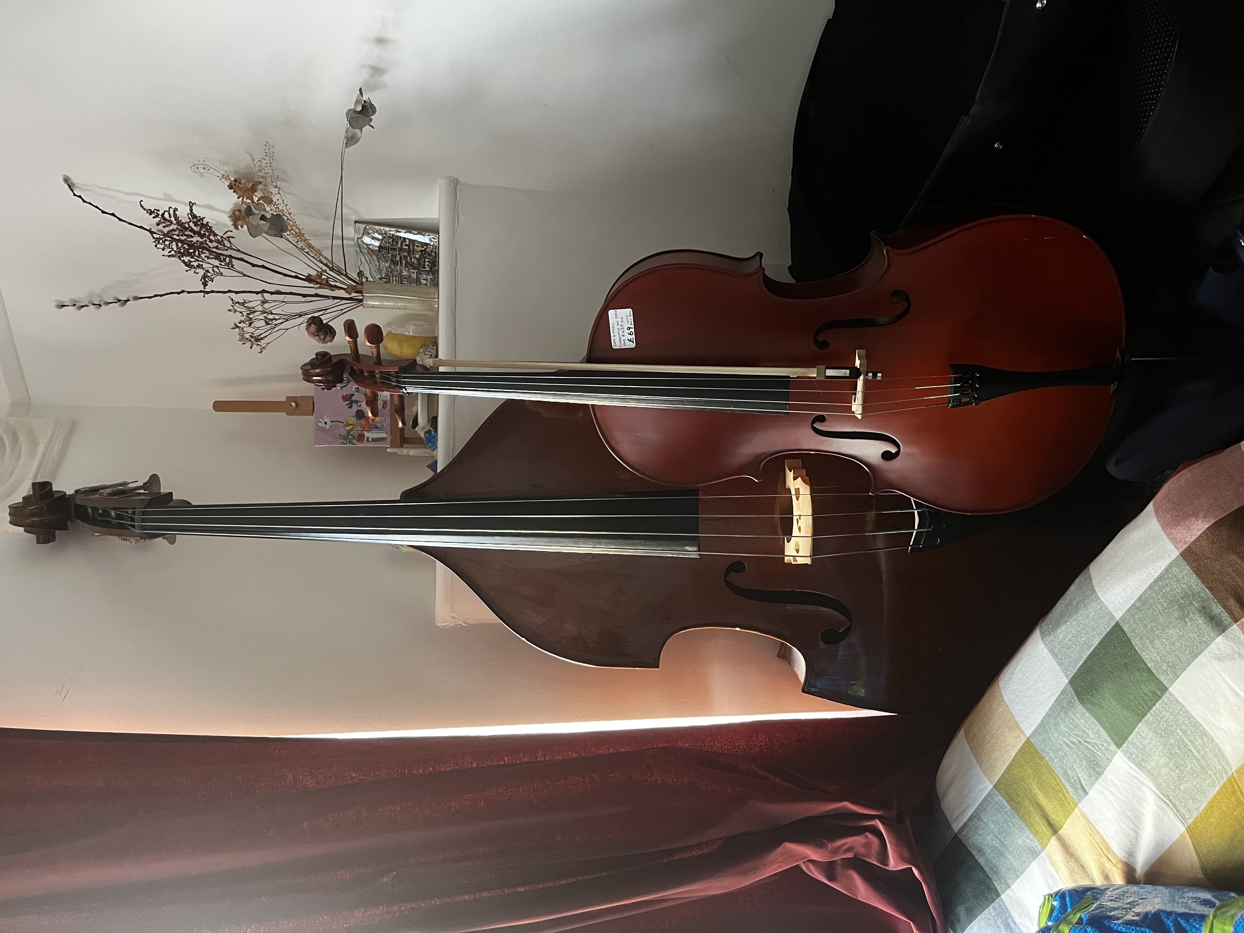 Stentor 3/4 size double bass and soft case, no bow 