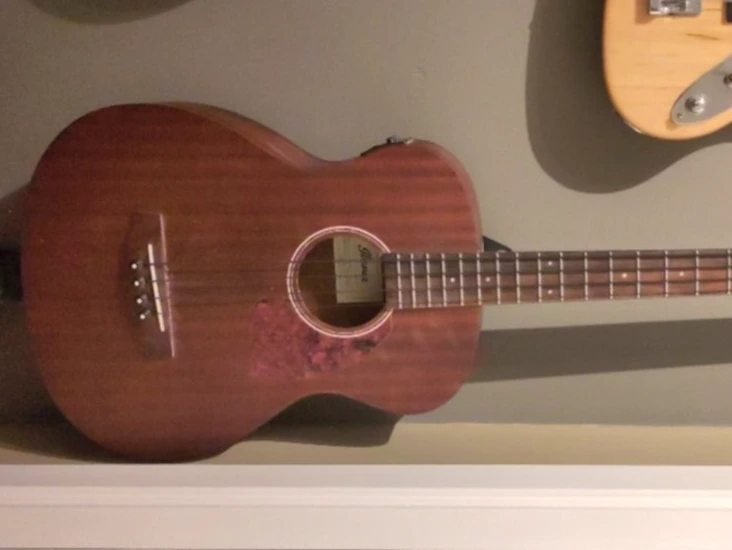 Ibanez akustisk bass