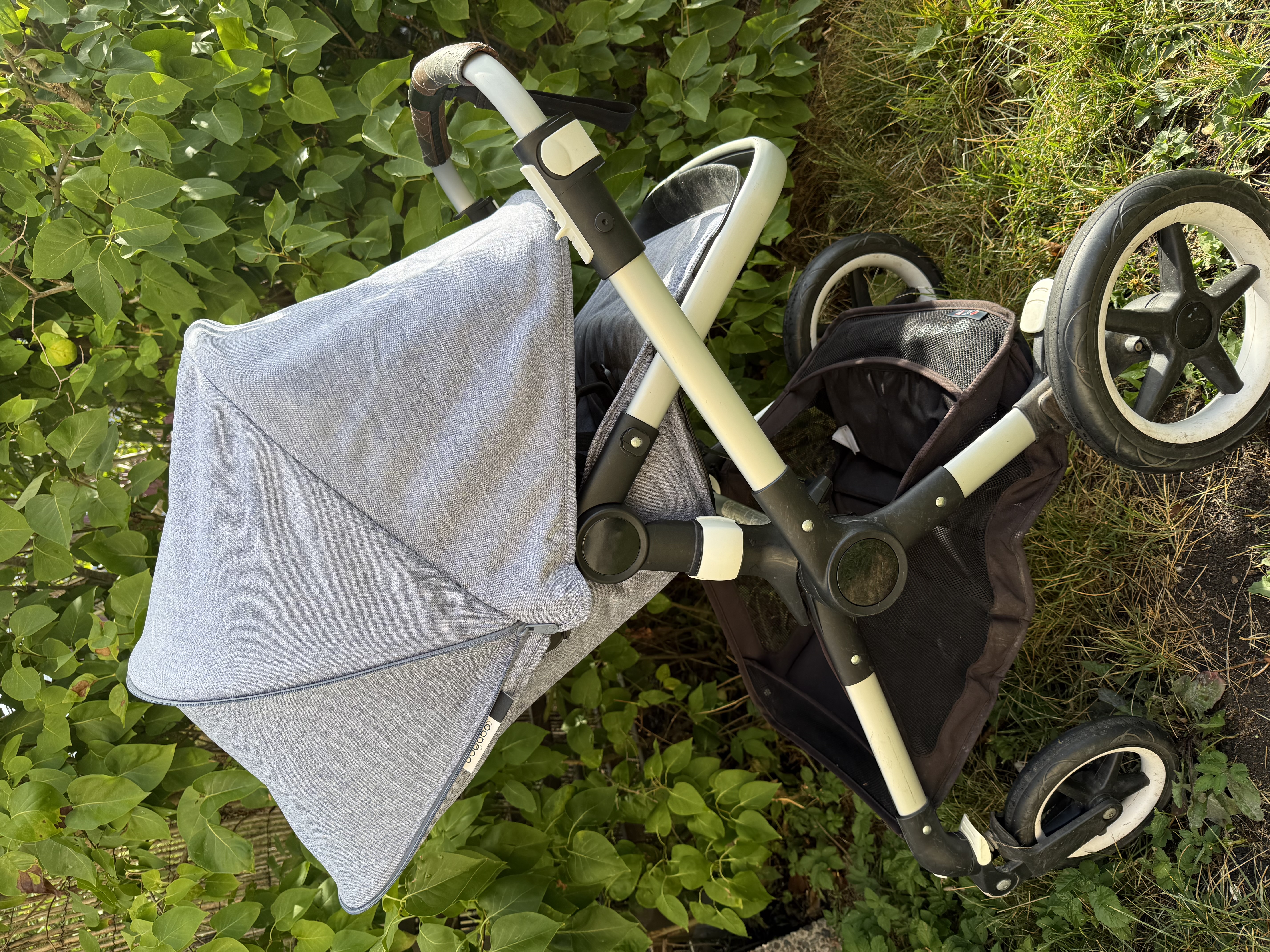 Bugaboo fox