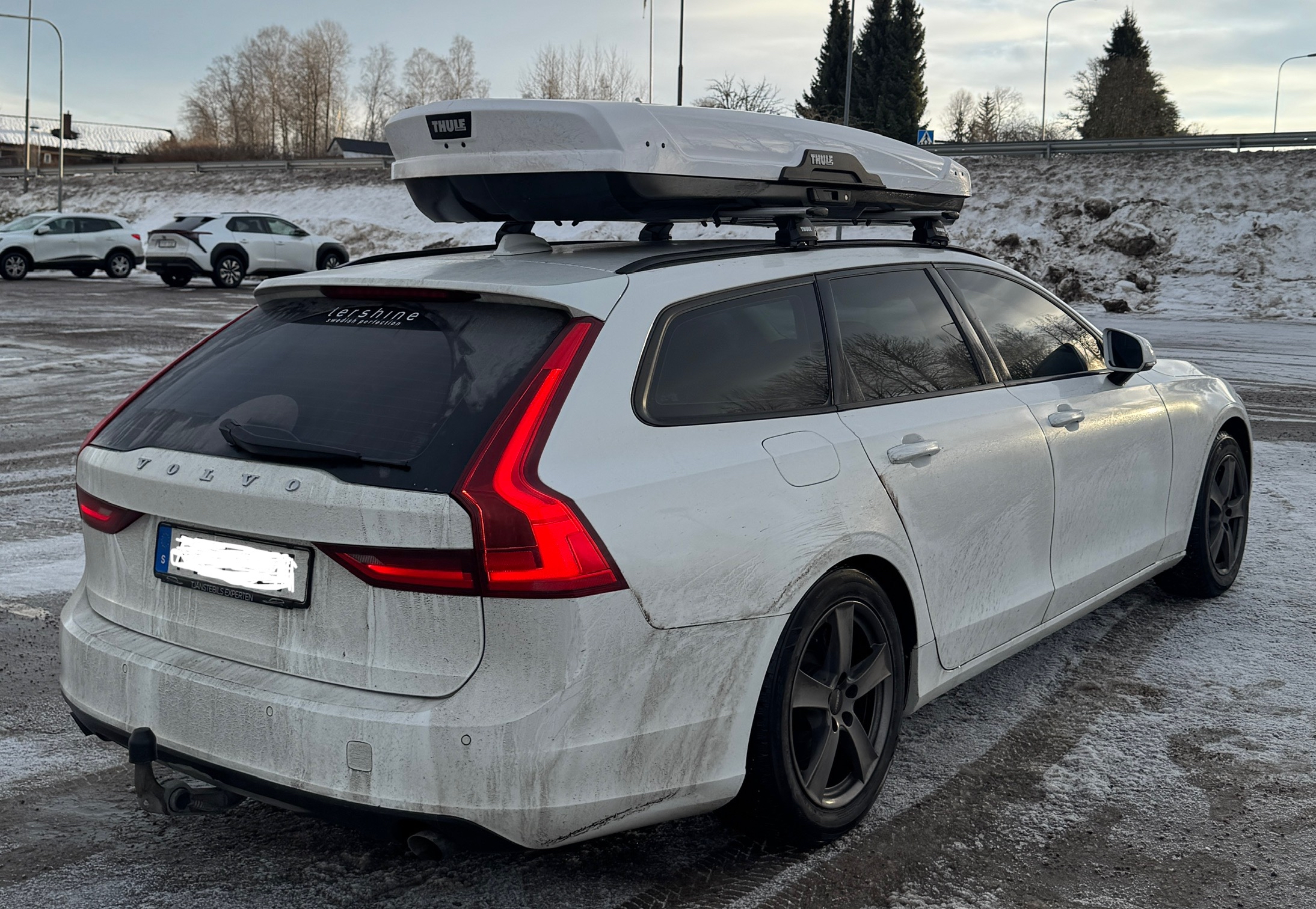 Thule motion xt alpine