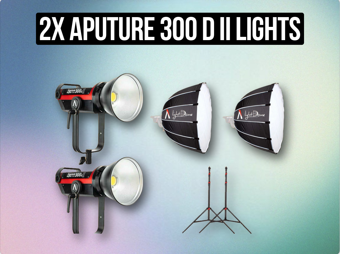 2x aputure 300 d ii lights + light dome softbox + stands set