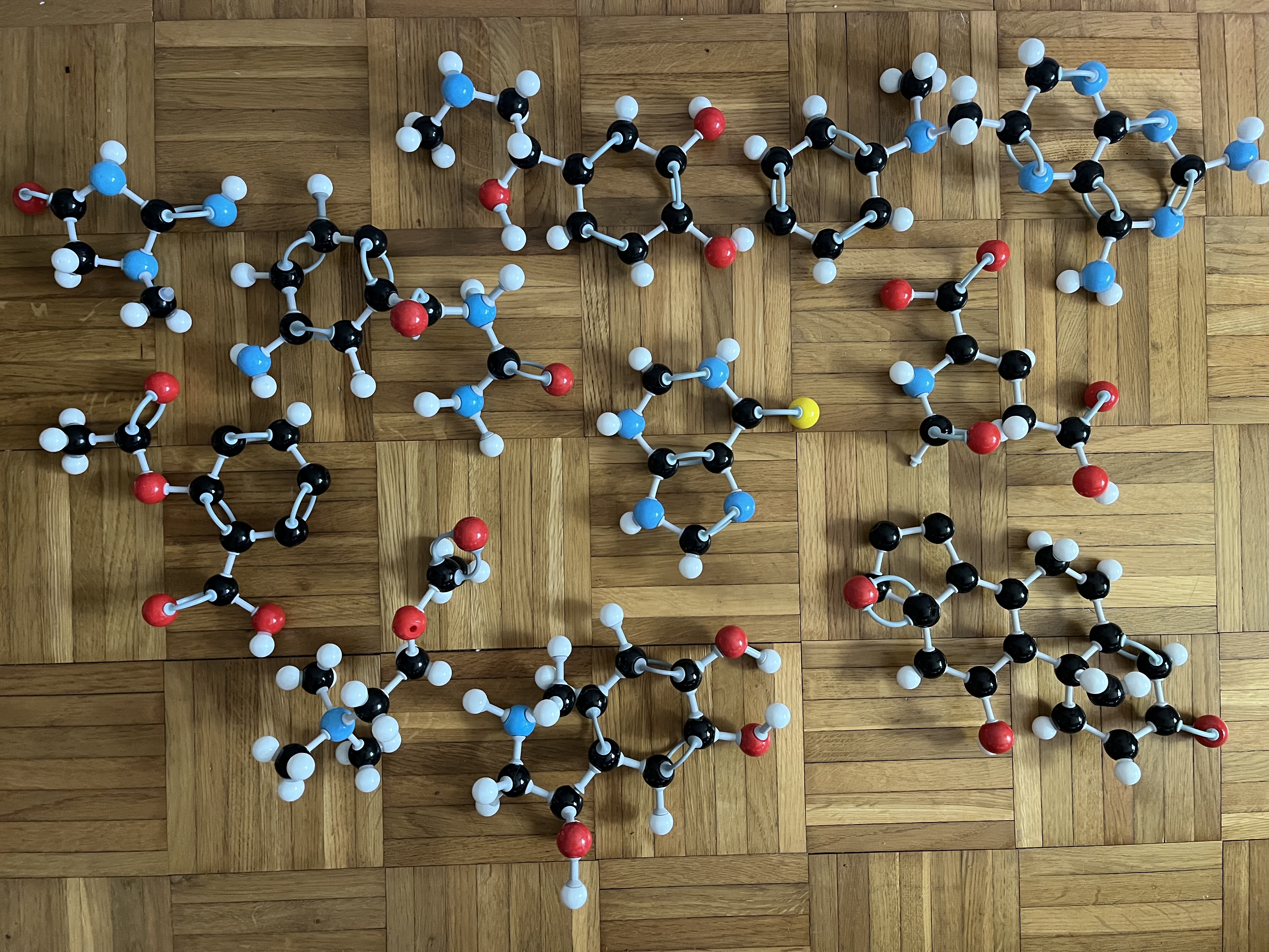 Molekylmodeller för biokemi/biomedicin