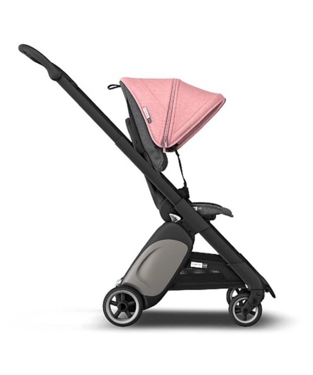 Bugaboo ant