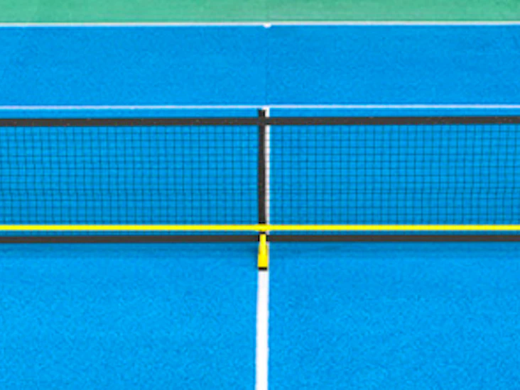 Pickleball net