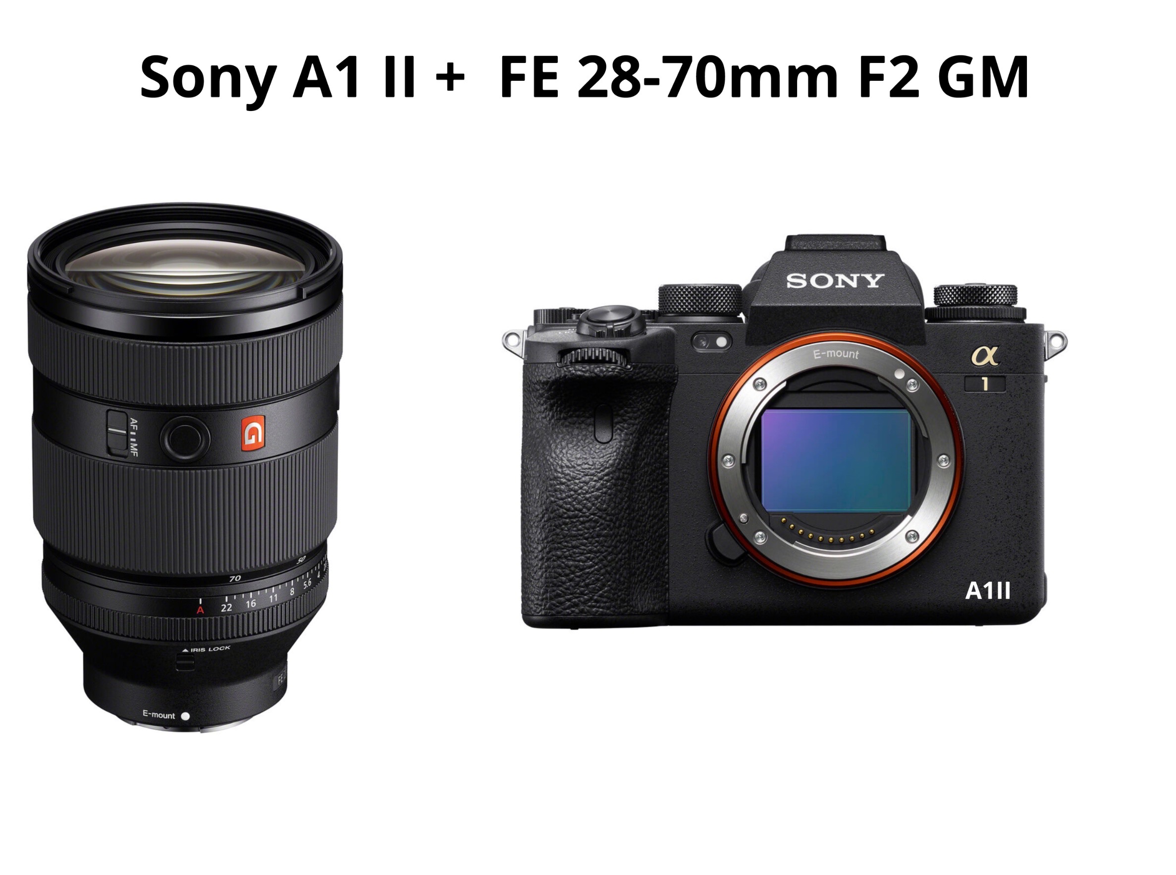 Sony a1 ii + fe 28-70 mm f2 gm 