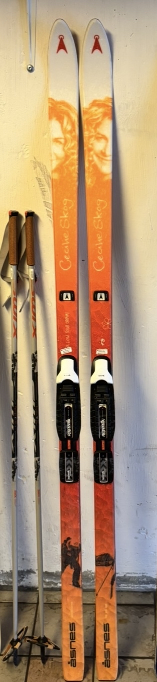 Fjellski 184 cm, staver og sko str. 38
