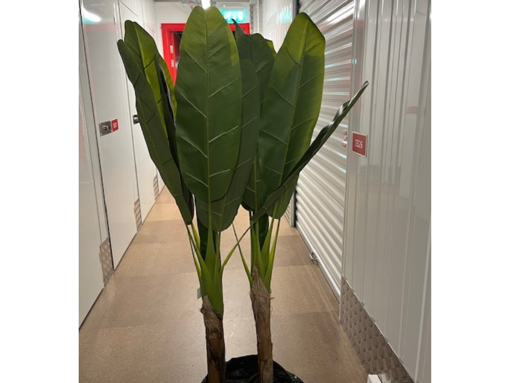 4 x 150cm artificial banana tree 