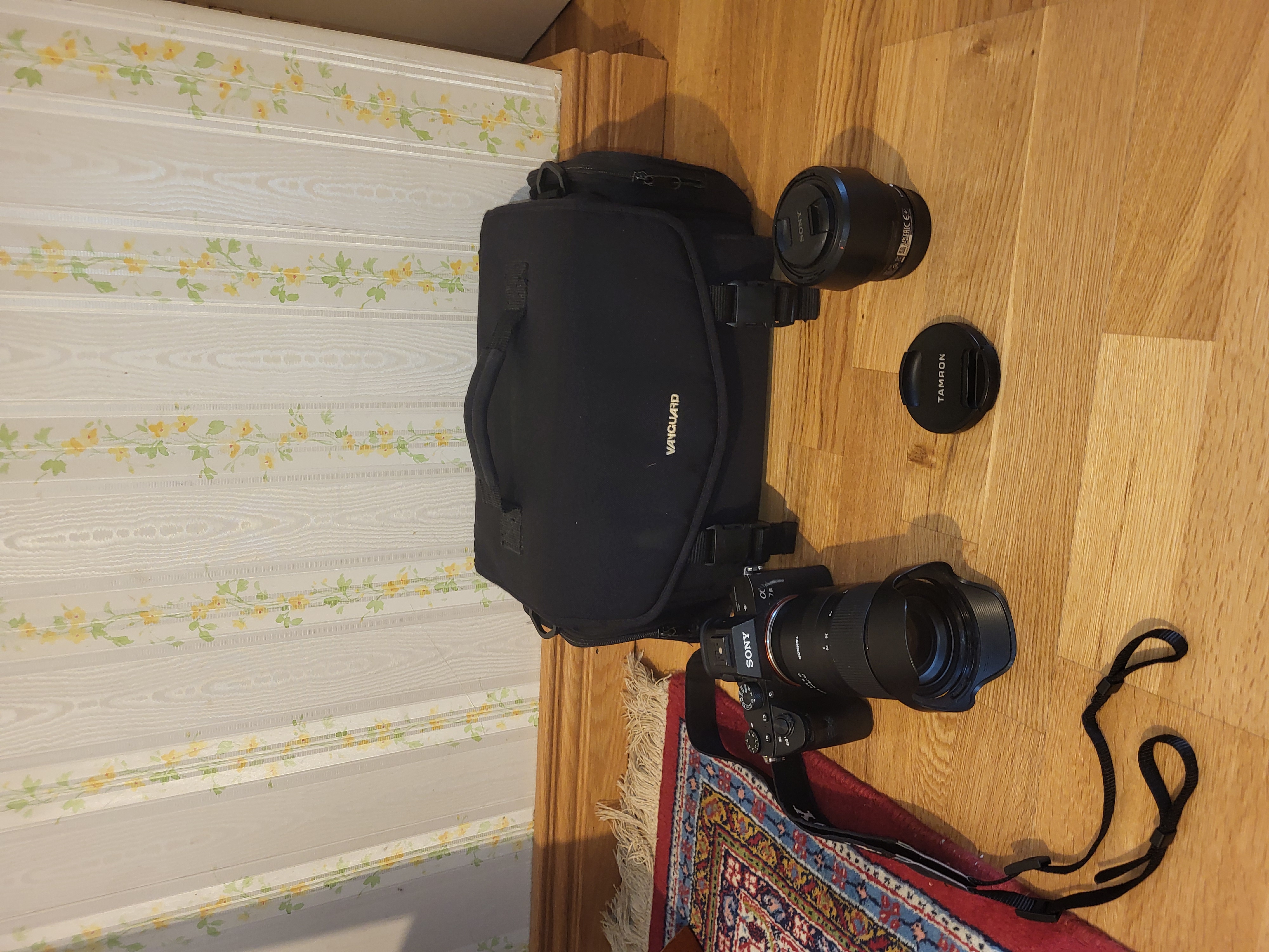 Sony a7iii with tamron 28-75mm f2.8 and sony 50mm f1.8 lenses