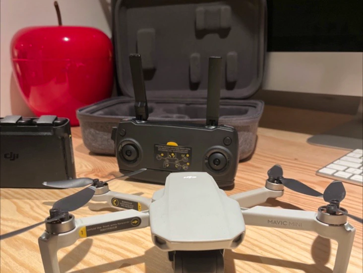 Dji mavic mini
