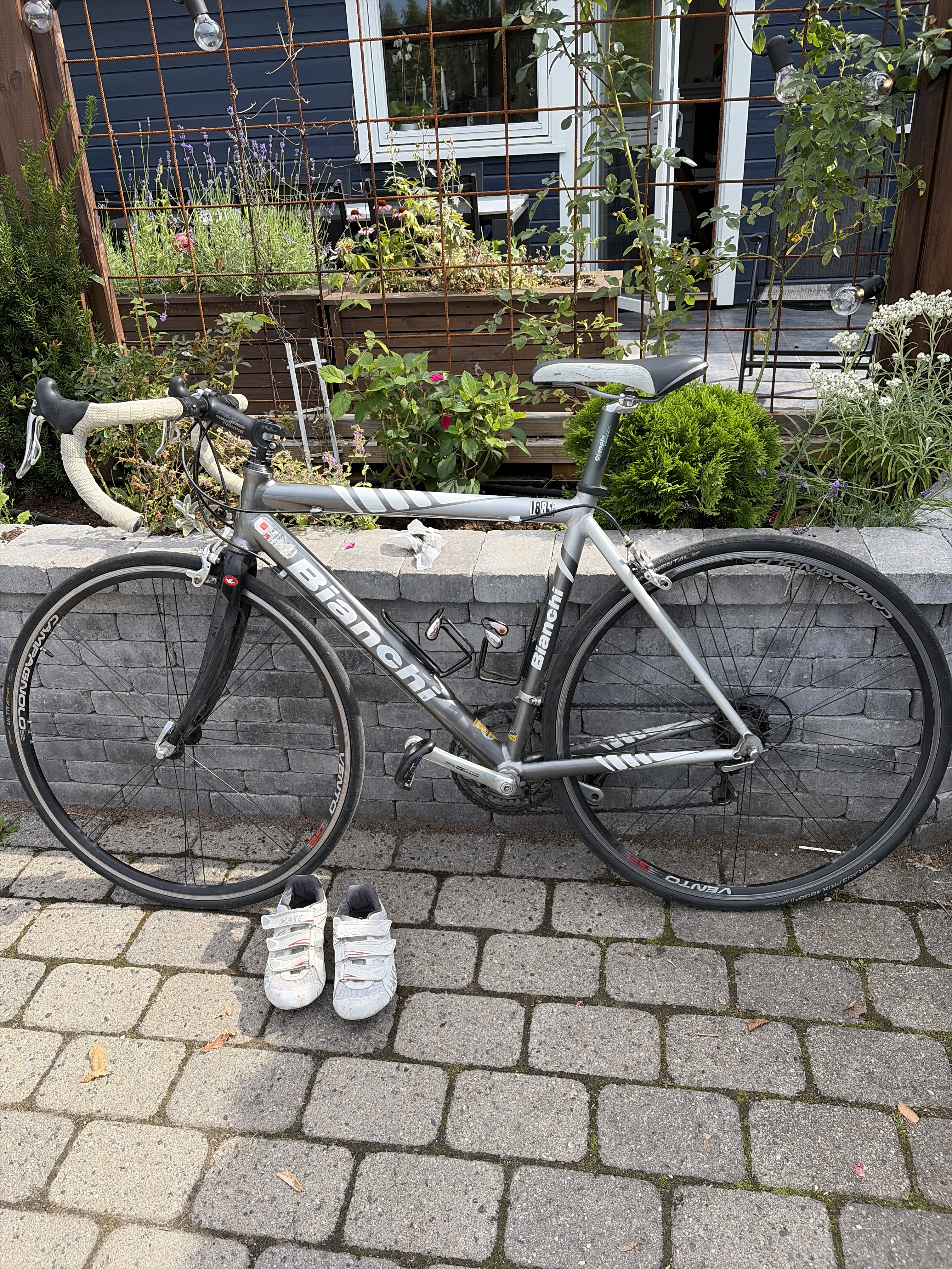 Bianchi landeveissykkel str 55