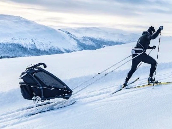 Thule chariot ski kit