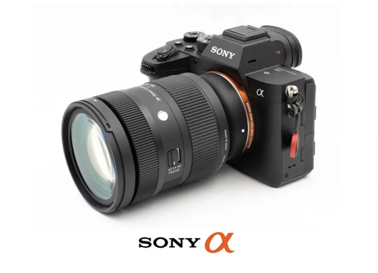 Sony alpha a7 iii  + sony 28-70 lens + sony speedlight flash + extras