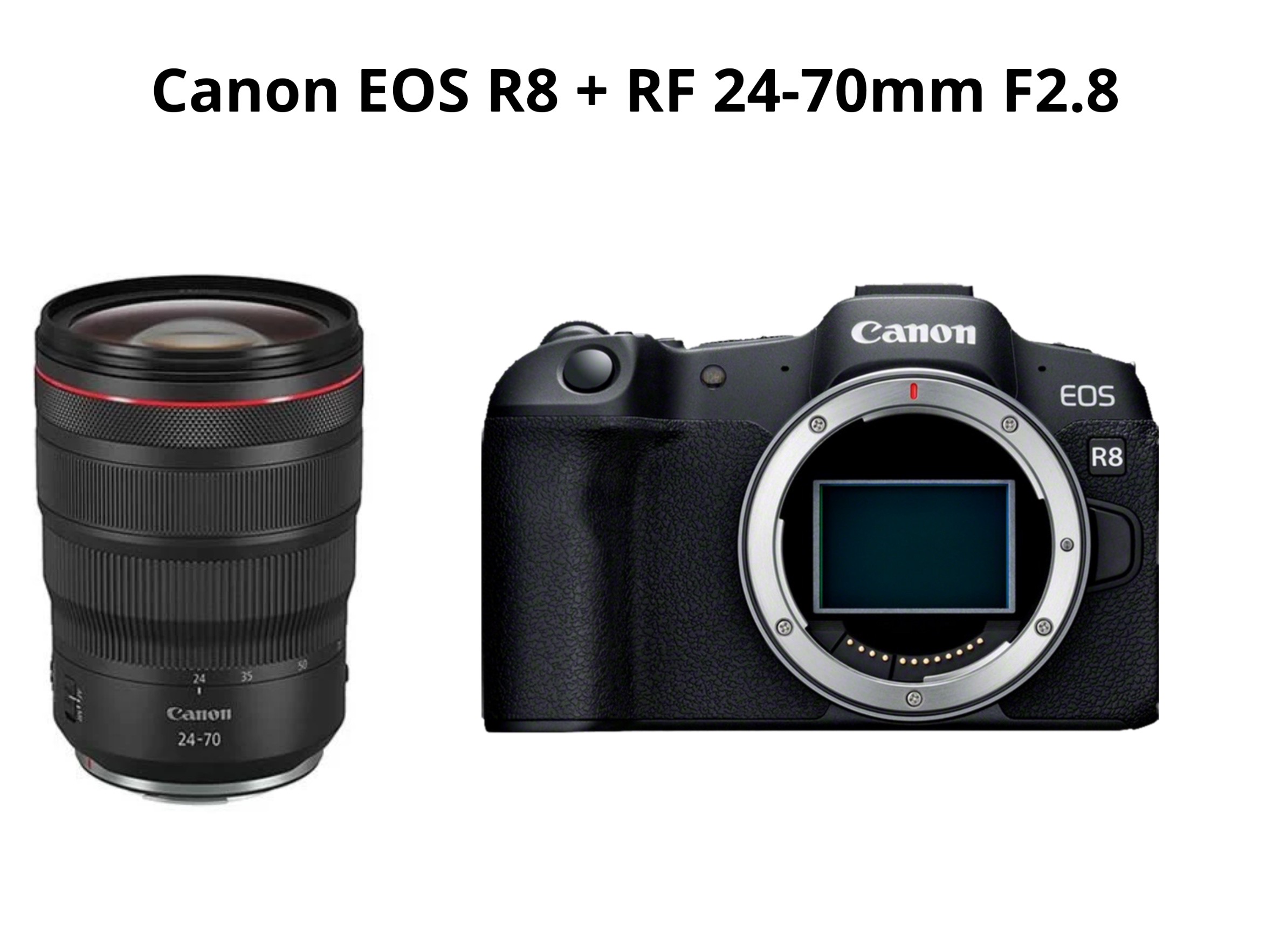 Canon r8 + rf 24-70mm f2.8 