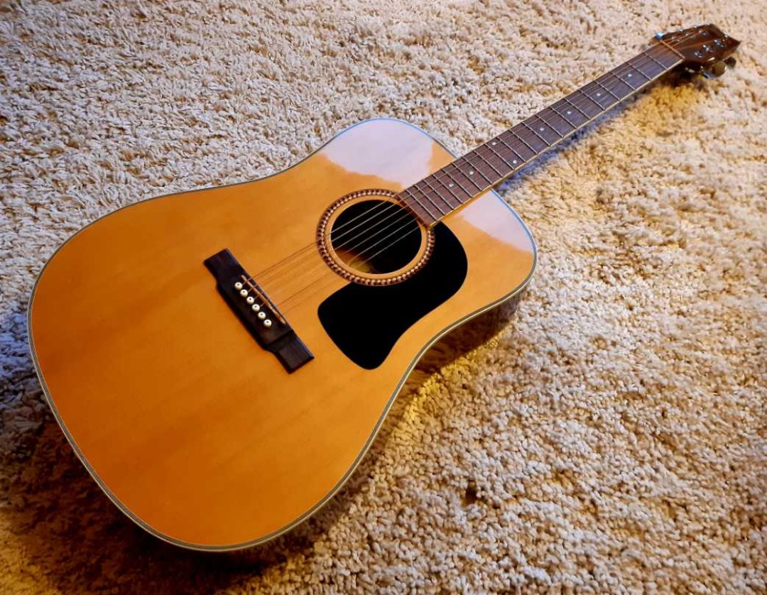 Washburn d10s stålsträngad akustisk gitarr
