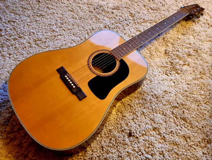 Washburn d10s stålsträngad akustisk gitarr