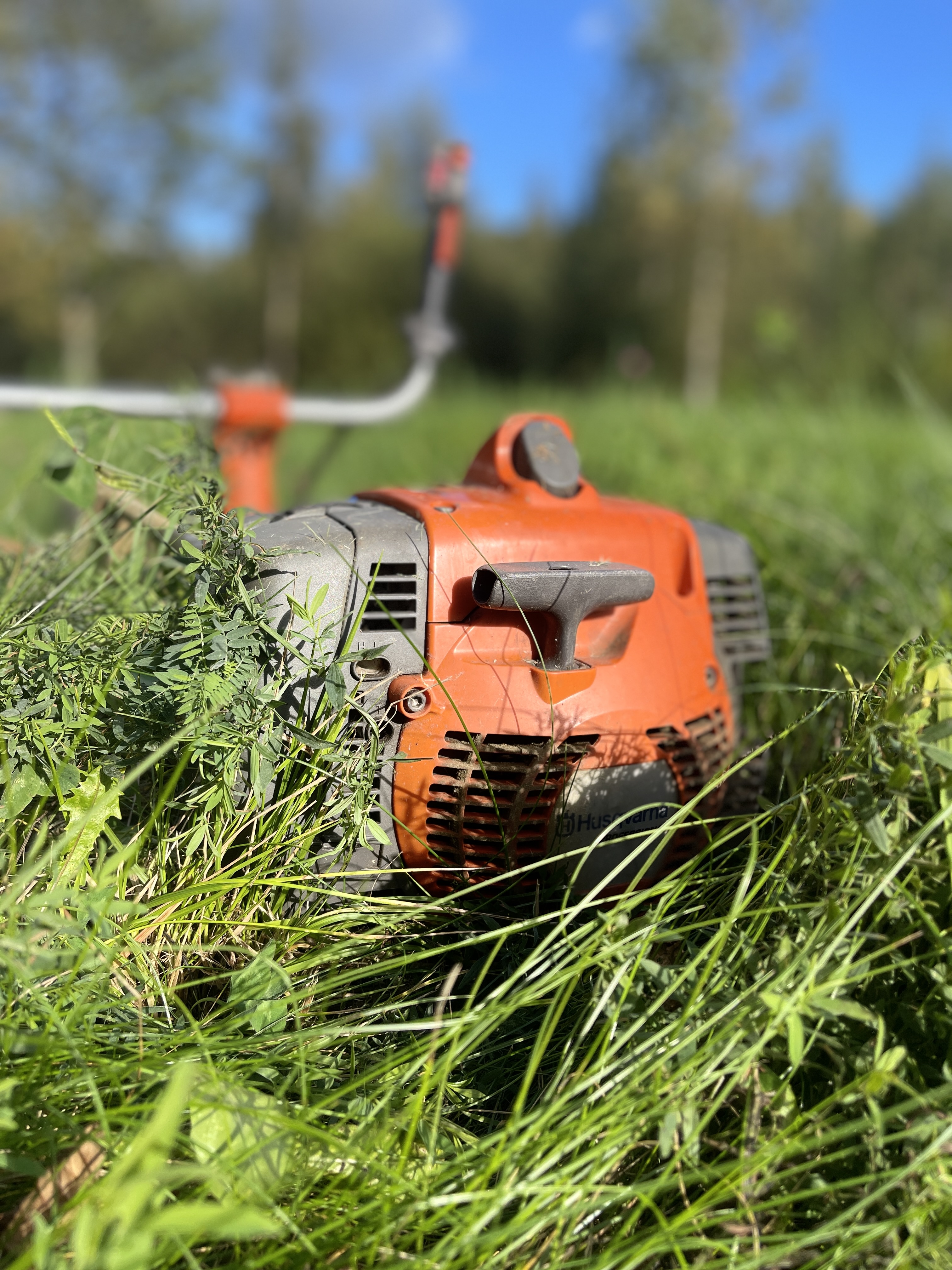 🌿 kraftig husqvarna 555rxt ryddesag til leie