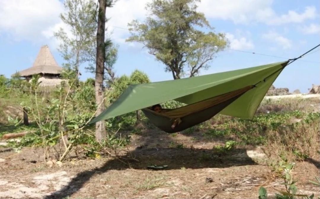 Tarp 