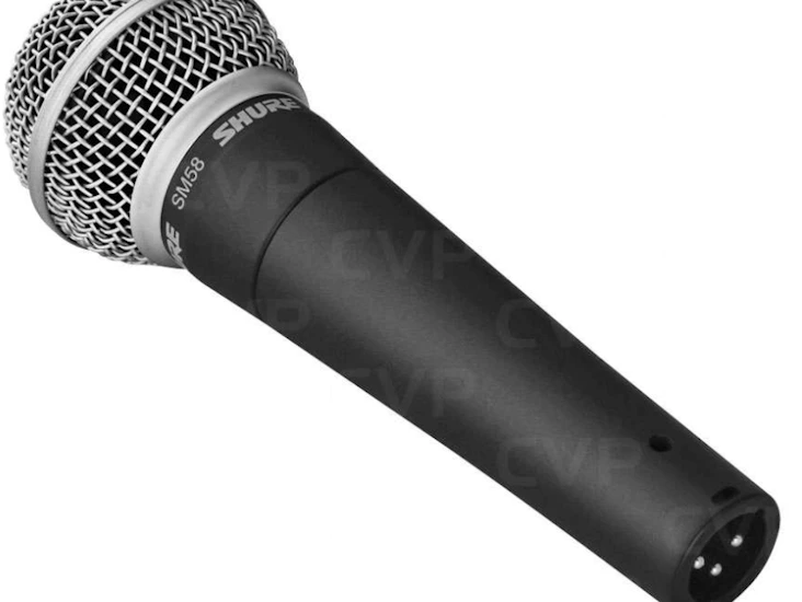 Sm58 microphone