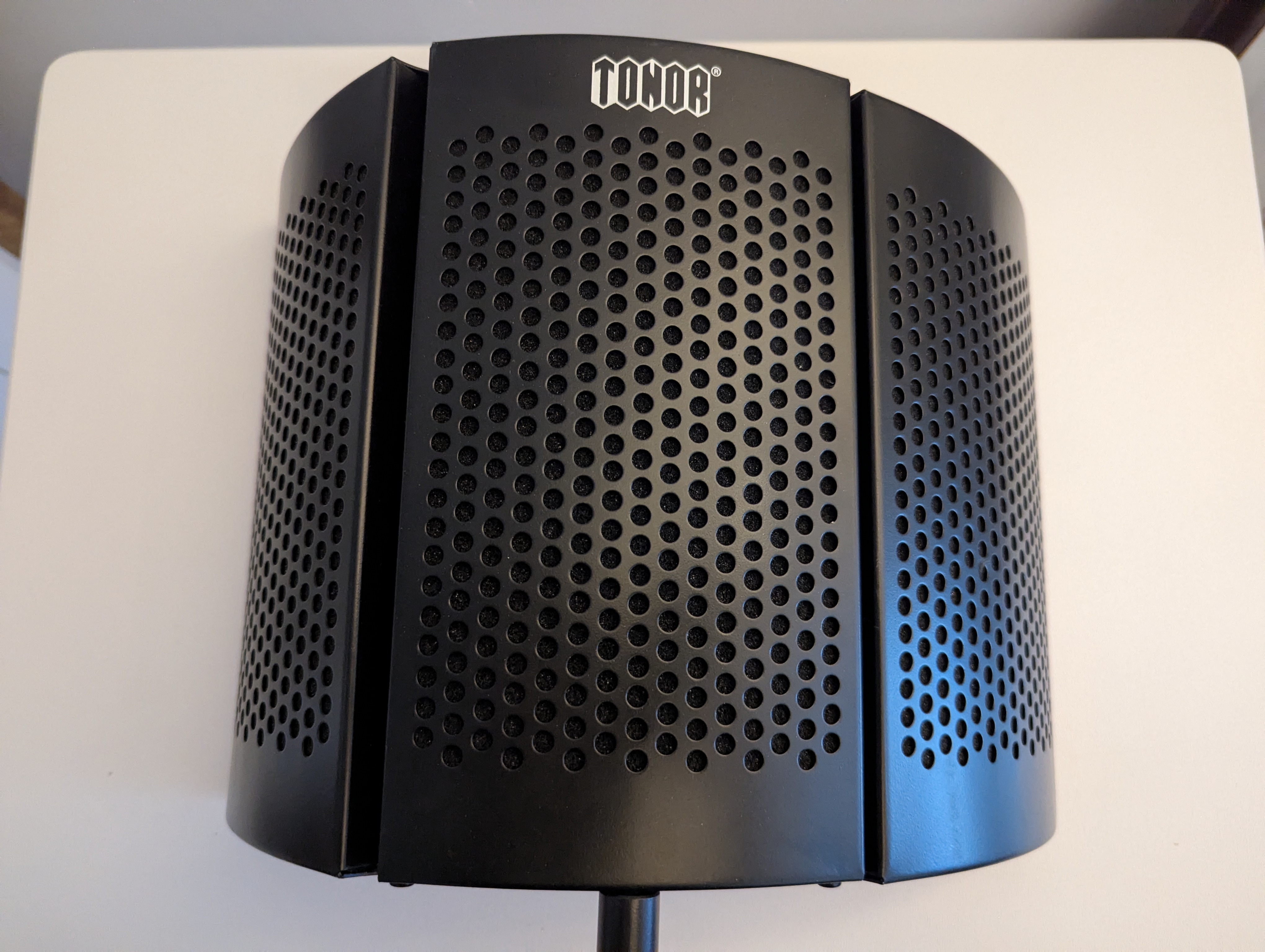 Microphone reflection filter 