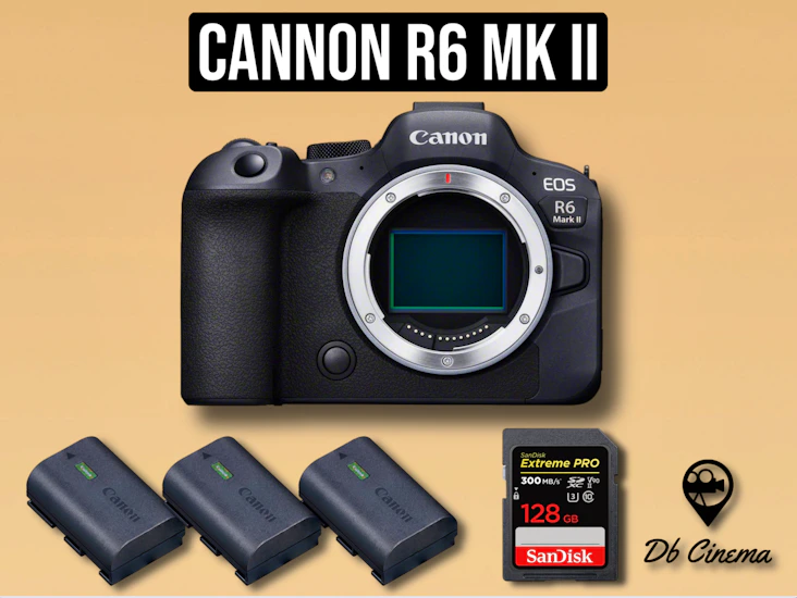 Cannon r6 ii mk camera body set