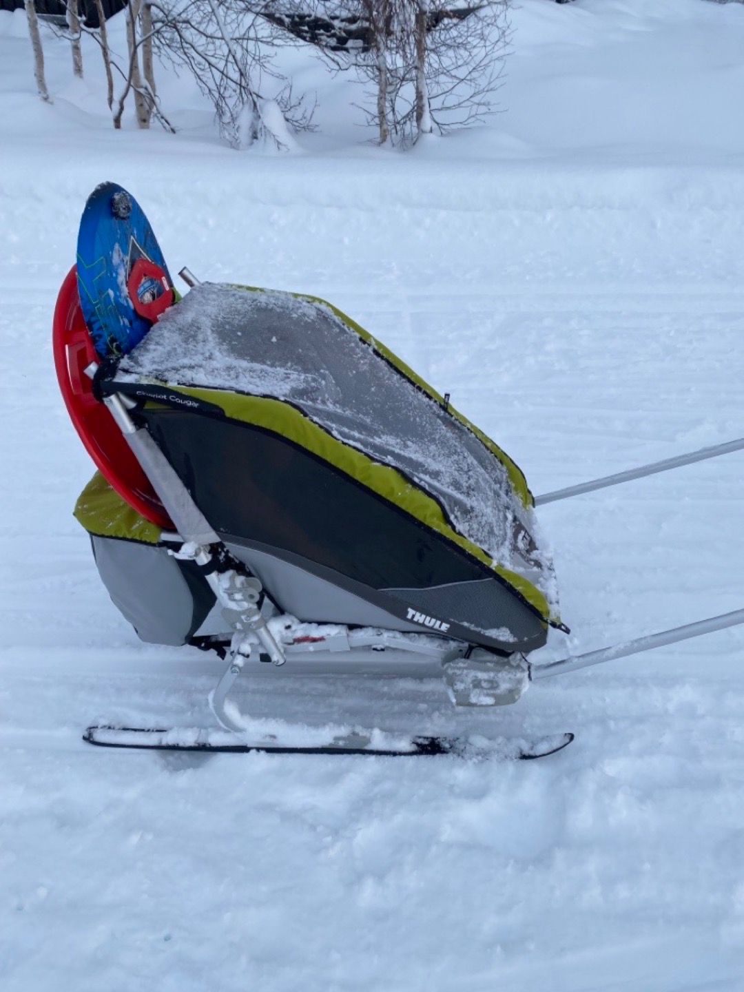 Thule sykkelvogn / pulk