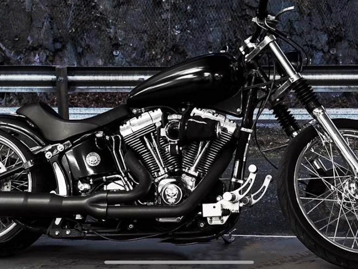 Harley davidson fxsts
