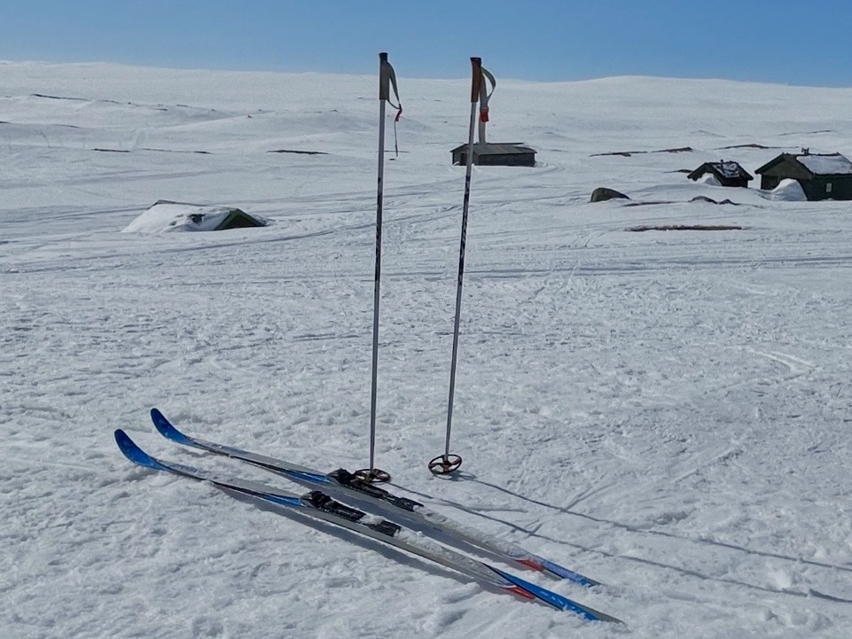 Fjellskipakke – madshus voss 666 (200 cm) + staver (160cm) + alpina sko (str. 42)