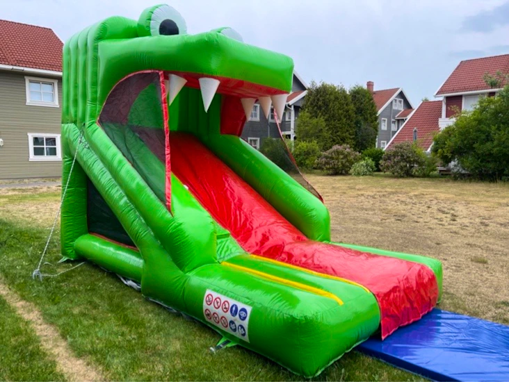 Hoppeslott sklie til utleie