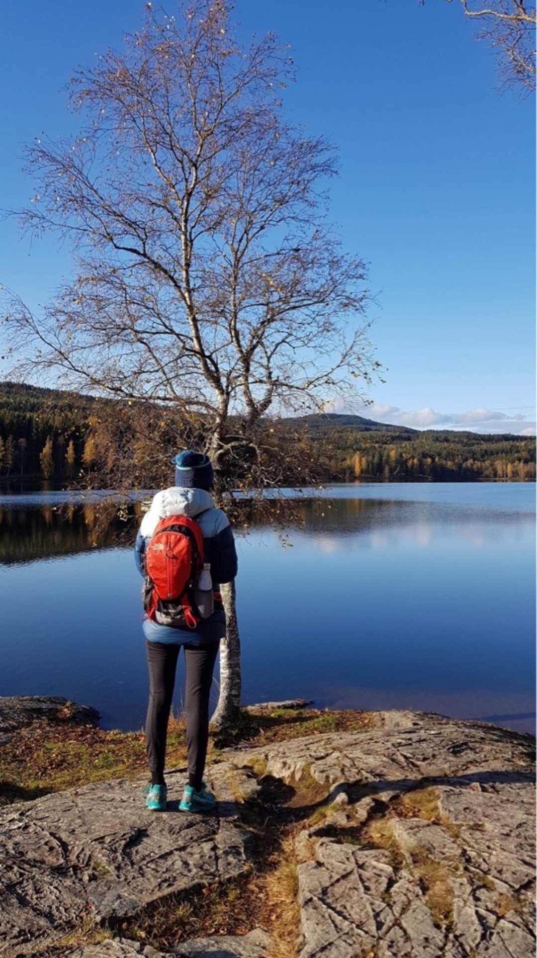 Rød dagstur sekk leies ut