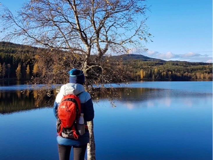 Rød dagstur sekk leies ut