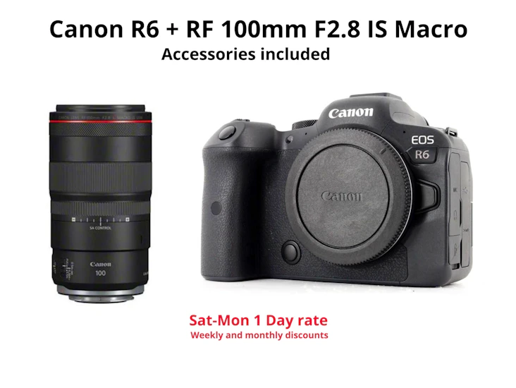 Canon r6 + rf 100mm f2.8 macro