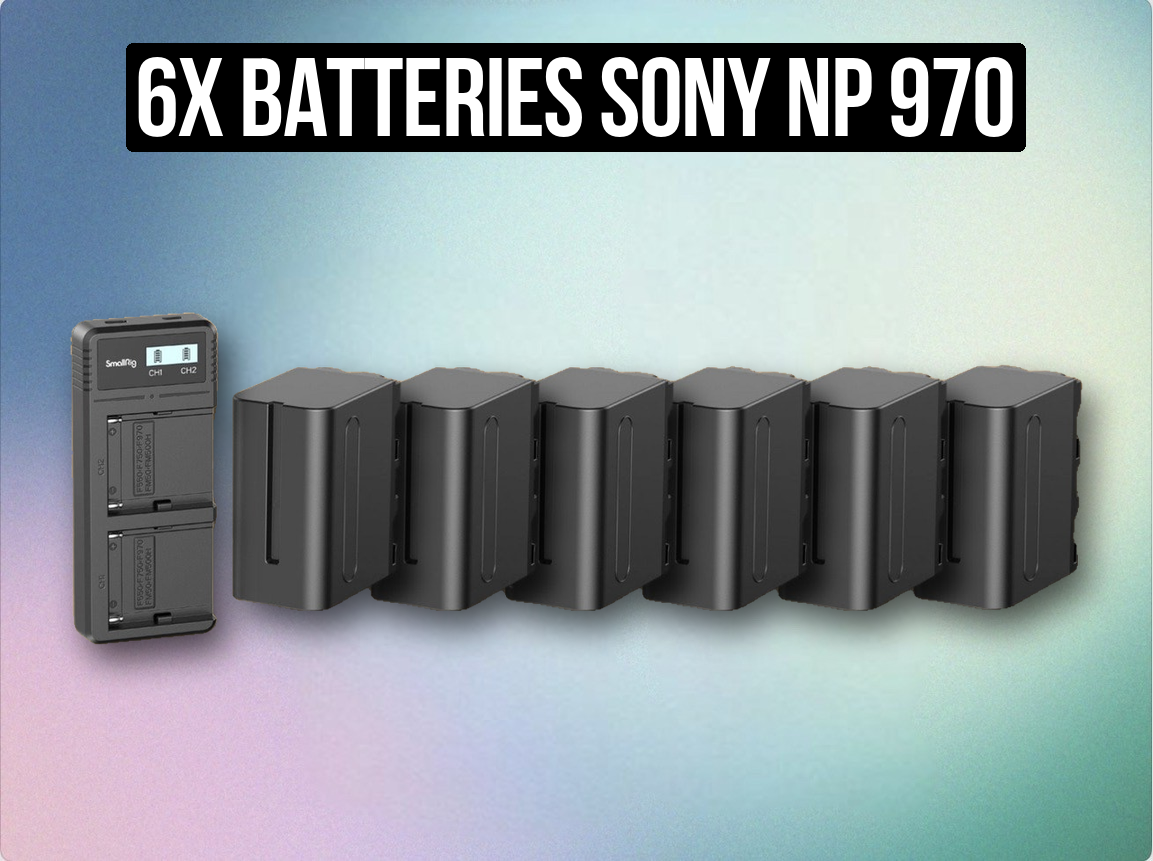 6x batteries sony np 970 extension pack 