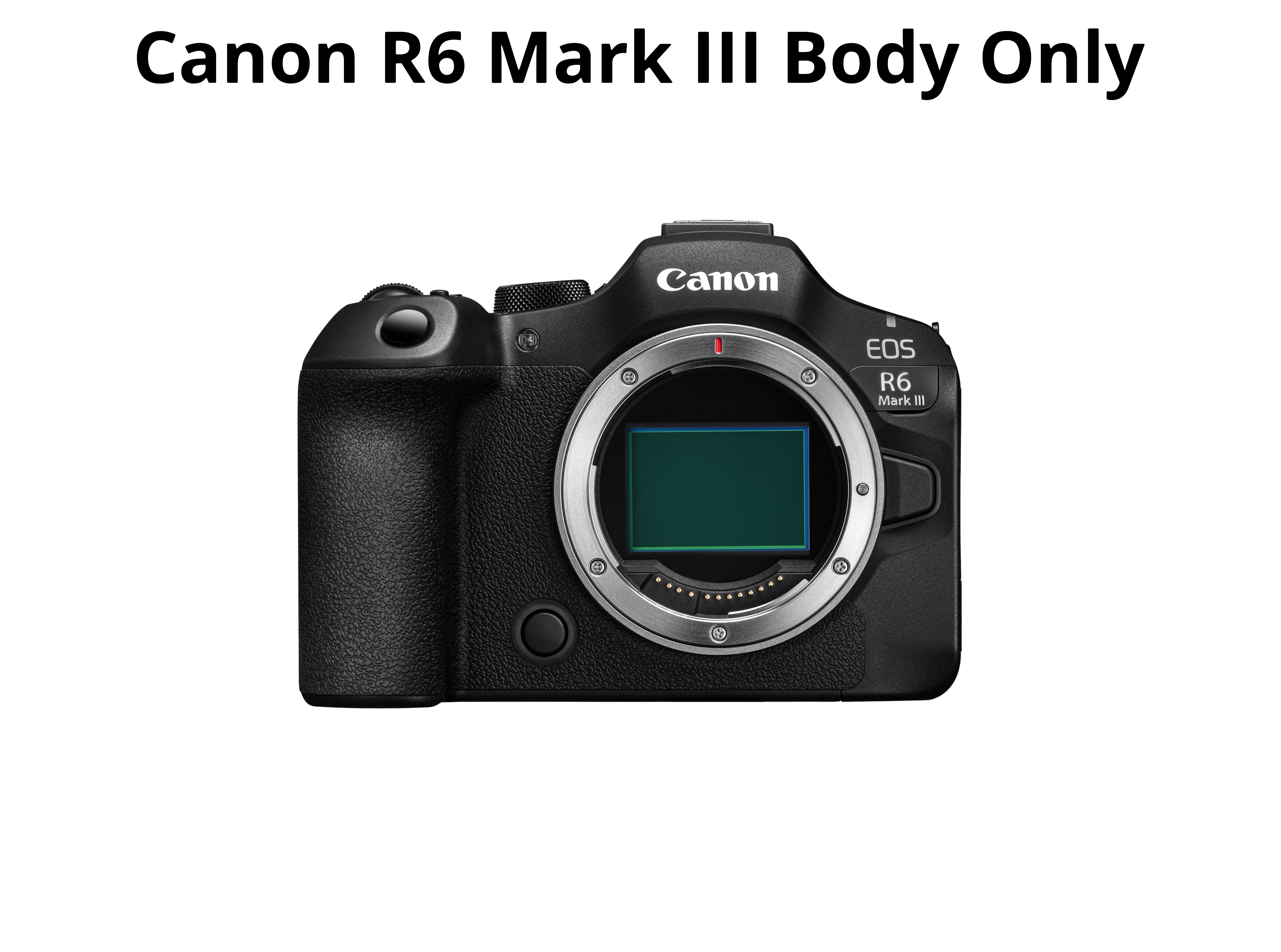 Canon r6 mark iii body 