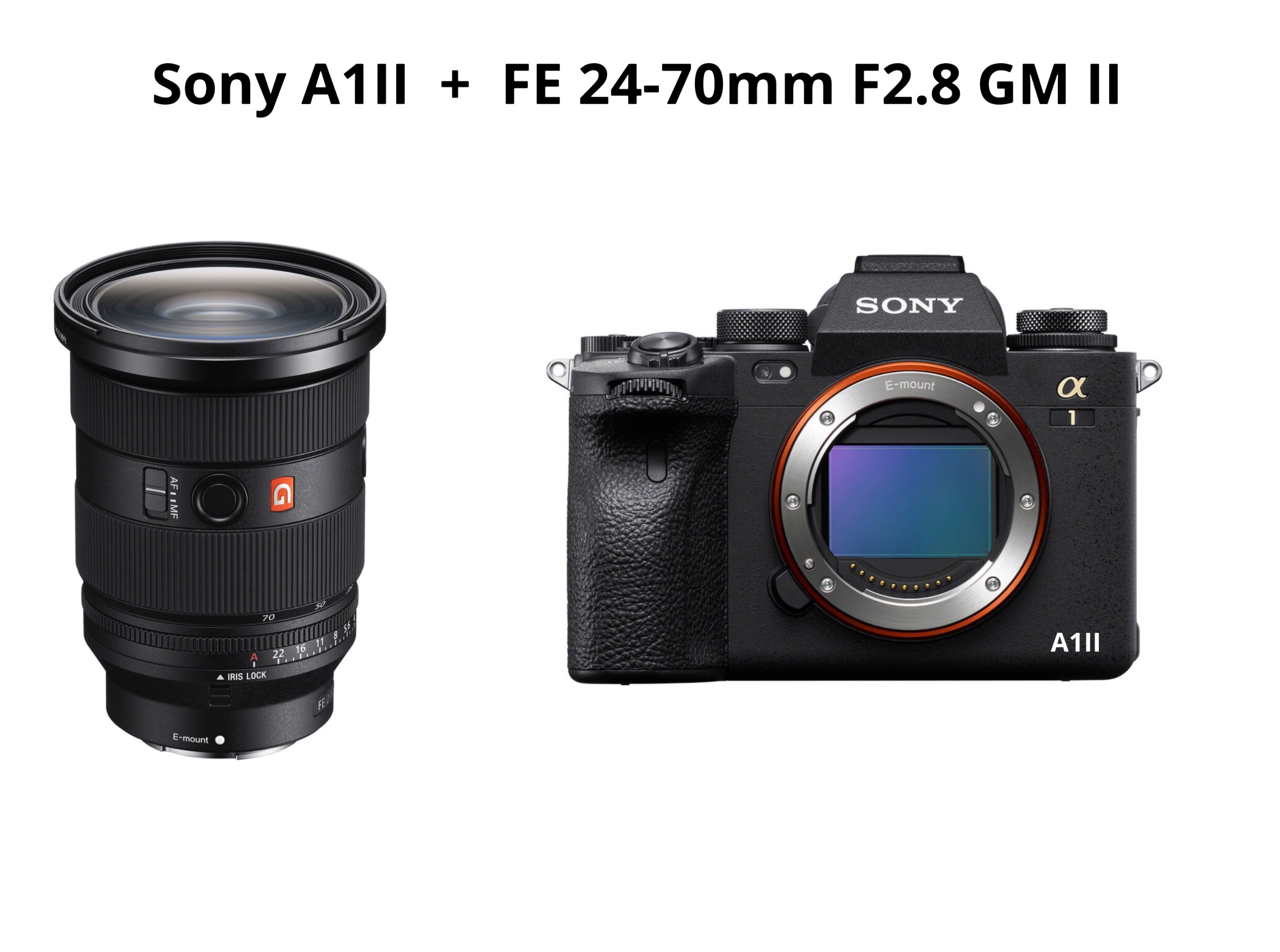 Sony a1 ii + fe 24-70mm f2.8 gm
