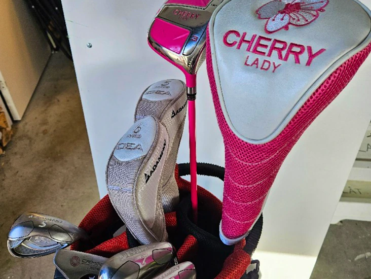 Nybörjarset damklubbor