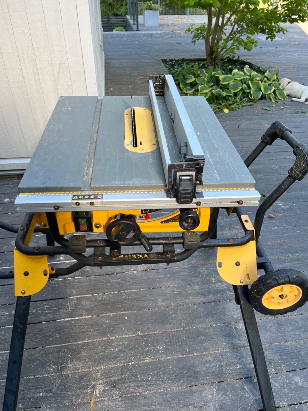 Dewalt job side table saw