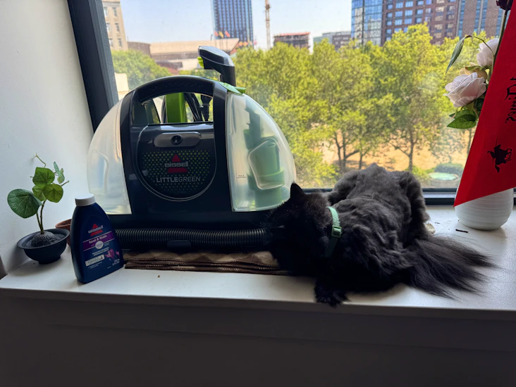 Bissell little green