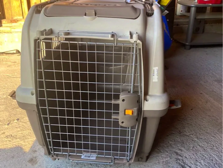 Reisebur/transportbur til hund