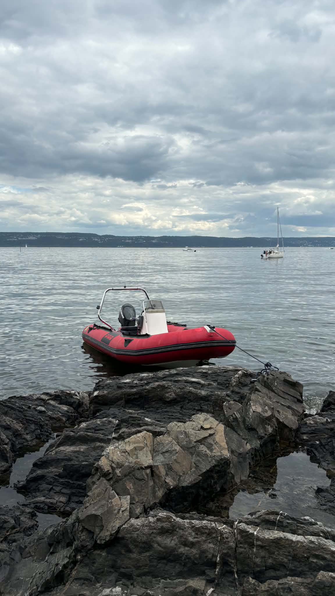 Rib i oslofjorden