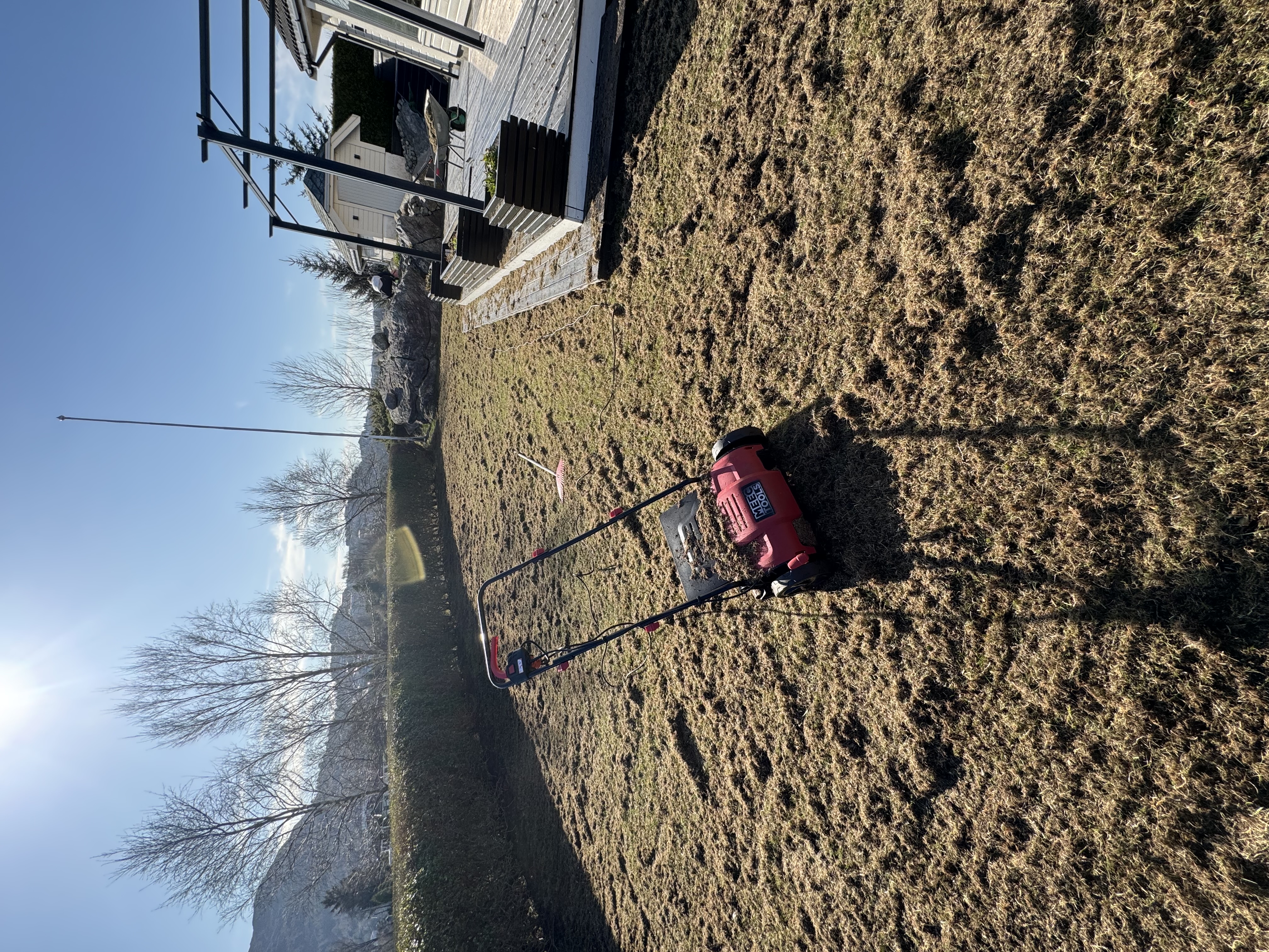 Vertikalskjærer/mosefjerner 2-i-1