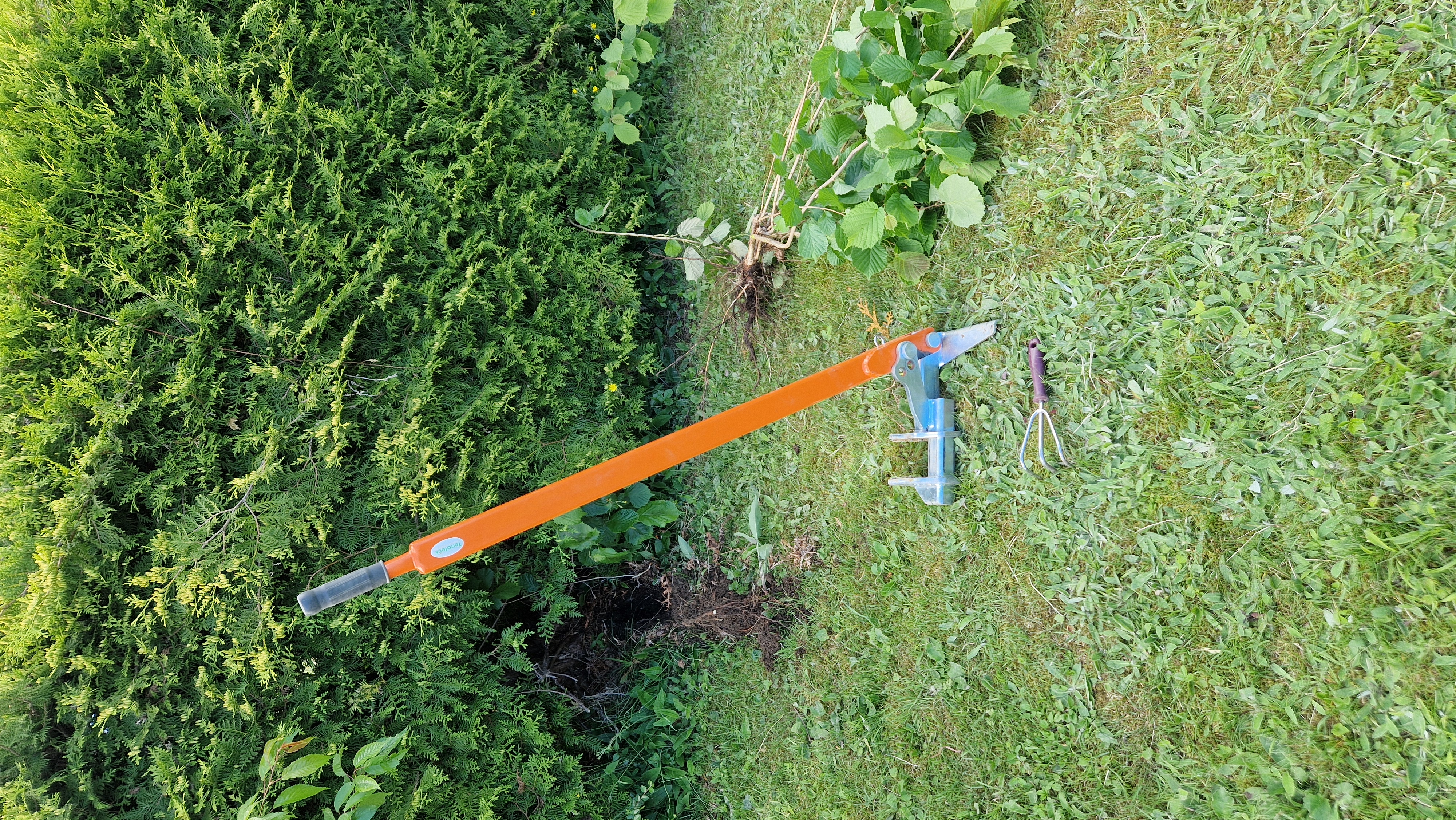 Kraftig rotopptrekker (buskjekk)