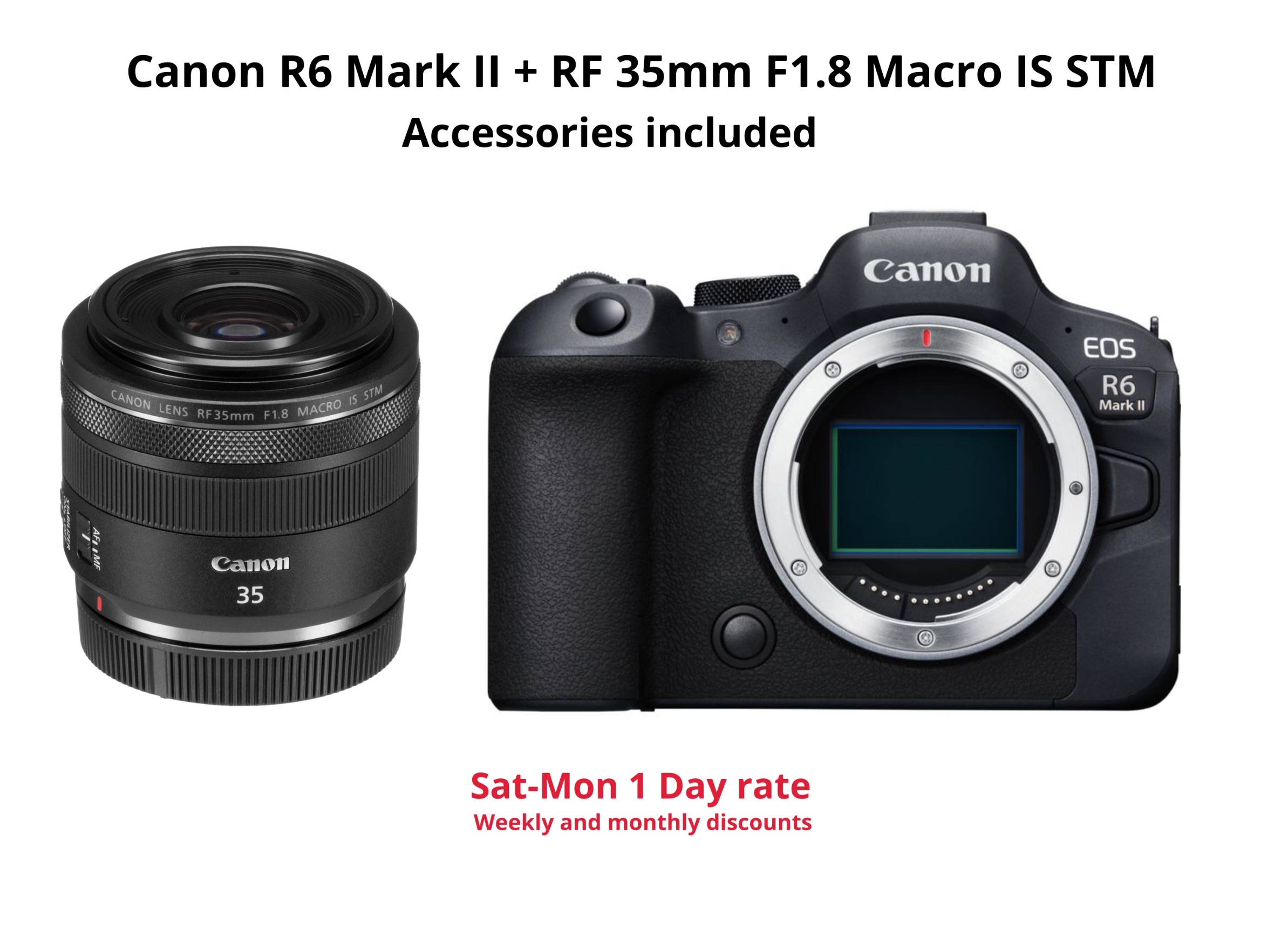 Canon r6 mark ii + rf 35mm f1.8 macro