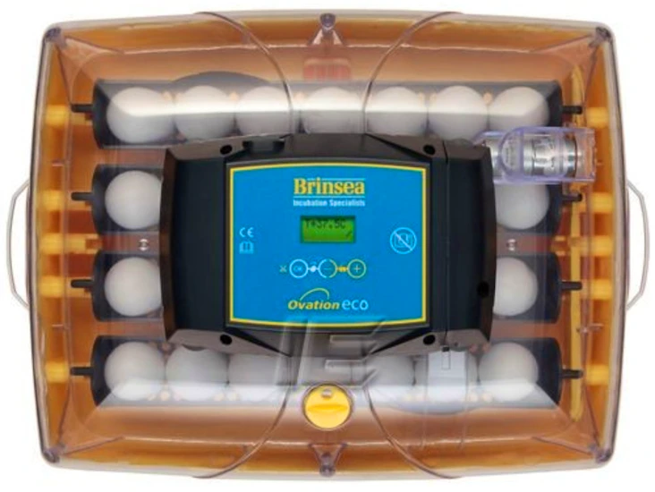 Rugemaskin - brinsea ovation 28 eco