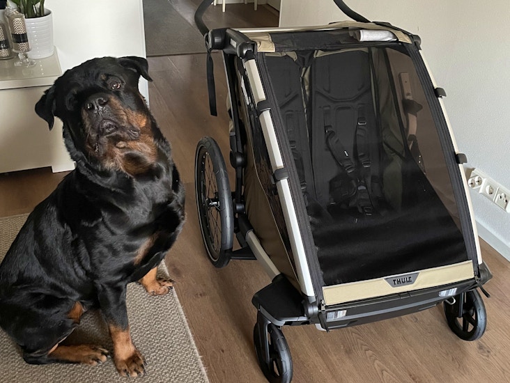 2025 vm. thule pyöräkärry chariot cross 2 double (gen 3)