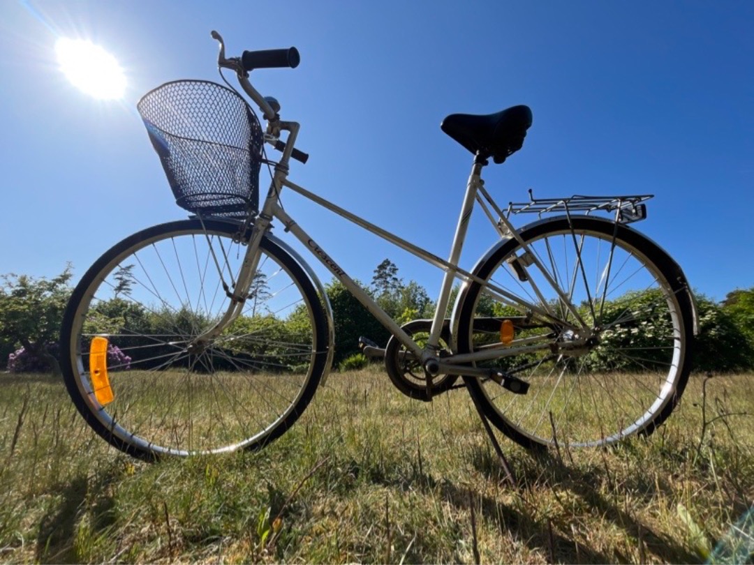 Cykel