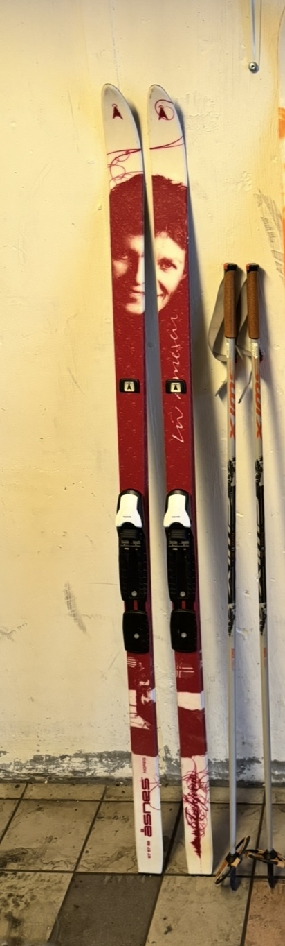 Fjellski 170 cm, staver og sko
