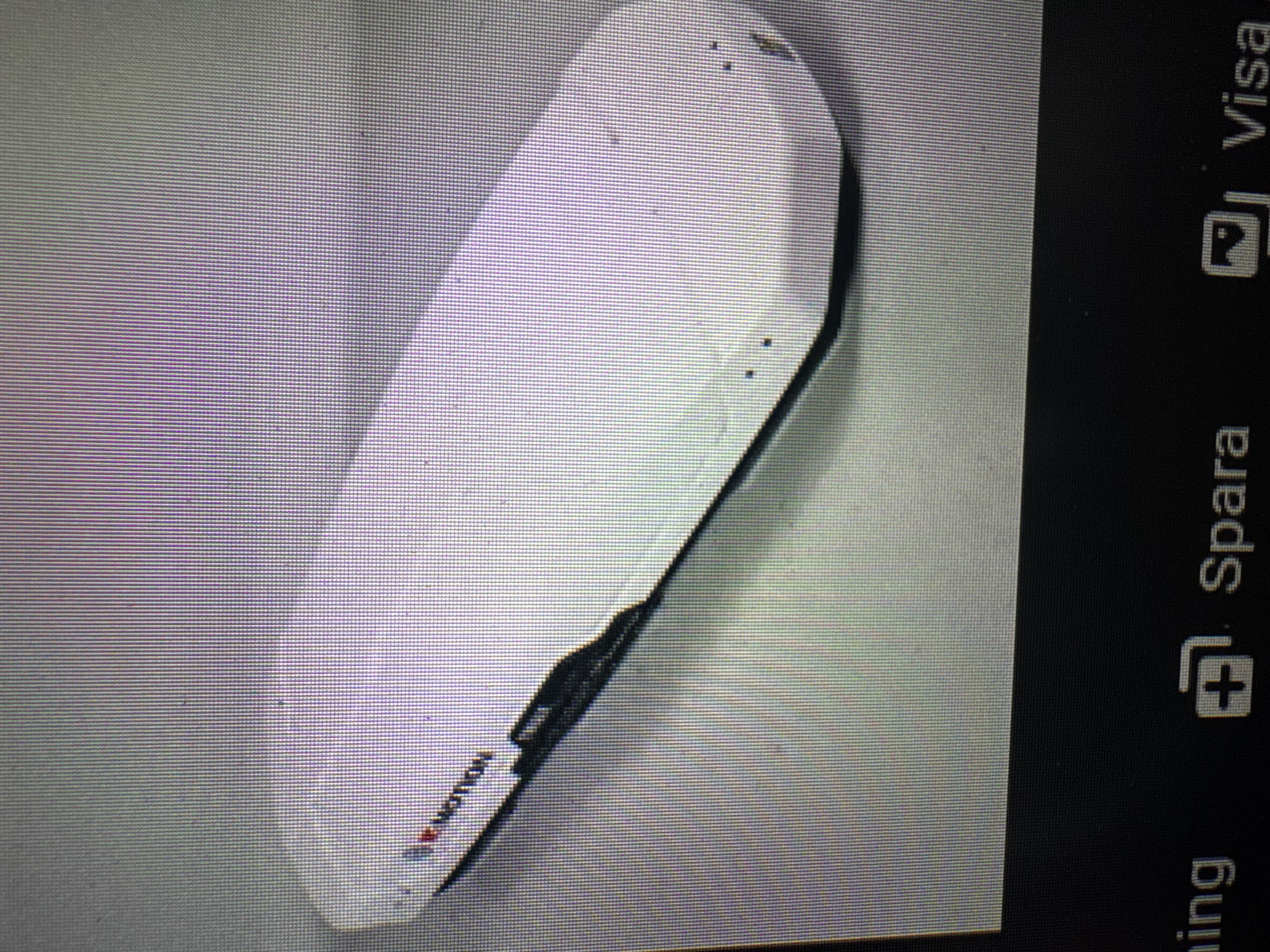 Takbox thule motion xt alpine